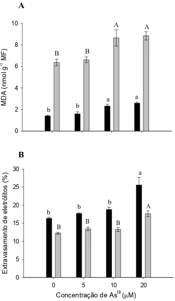 Figura 5. Concentração de malonaldeído (A) e extravasamento de eletrólitos (B) em 