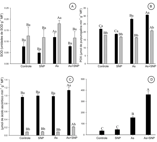 Fig. 5. Efeito do As e do SNP sobre a atividade de enzimas do sistema antioxidante em folhas       (    ) e raízes (    ) de Pistia stratiotes