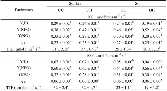 Tabela 5. Valores médios dos parâmetros de fluorescência,  sob 200 e 1000 μmol fótons m –2  s –1 , em  plantas  de  Coffea  arabica  L