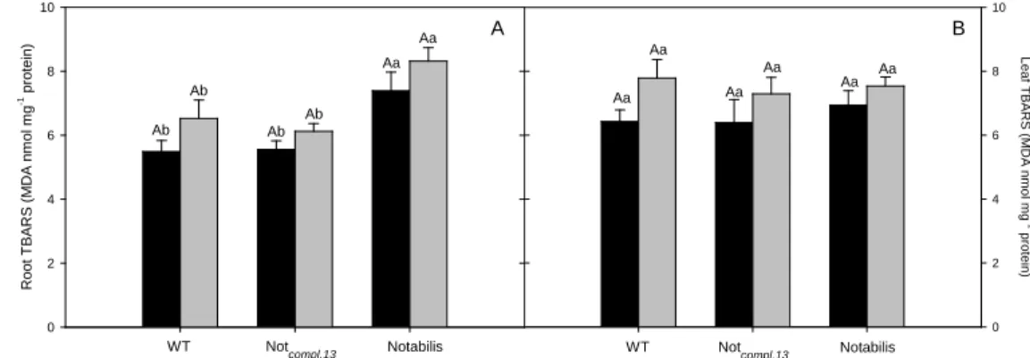 Fig. 2.  Effect of Cd stress on lipid peroxidation (MDA nmol mg -1