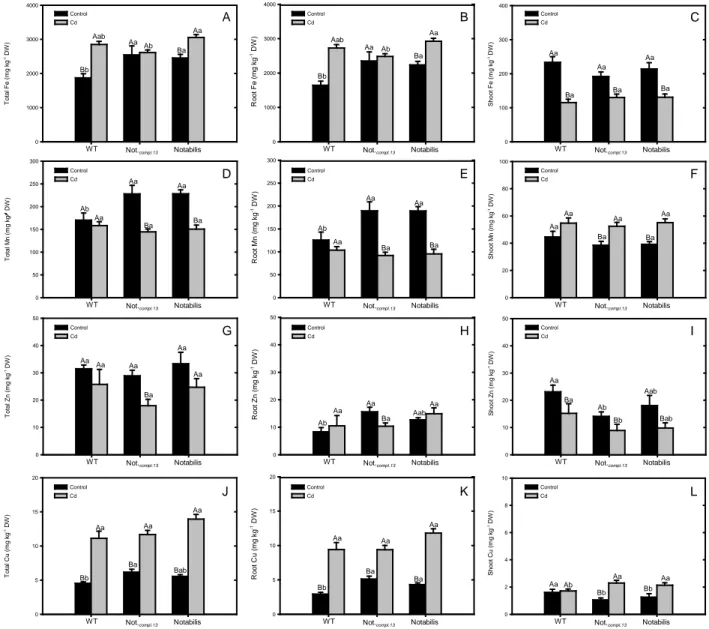 Fig. 3.  Micronutrient concentration (mg kg -1   dry weight) in  whole plant (A, D, G, J), roots (B, E, H, K) and  shoots (C, F, I, L)) of  L