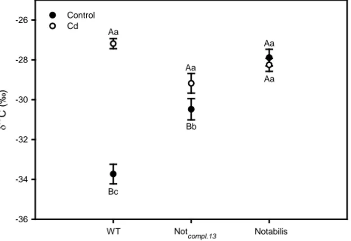 Fig. 6.  Carbon isotopic composition  (δ 13