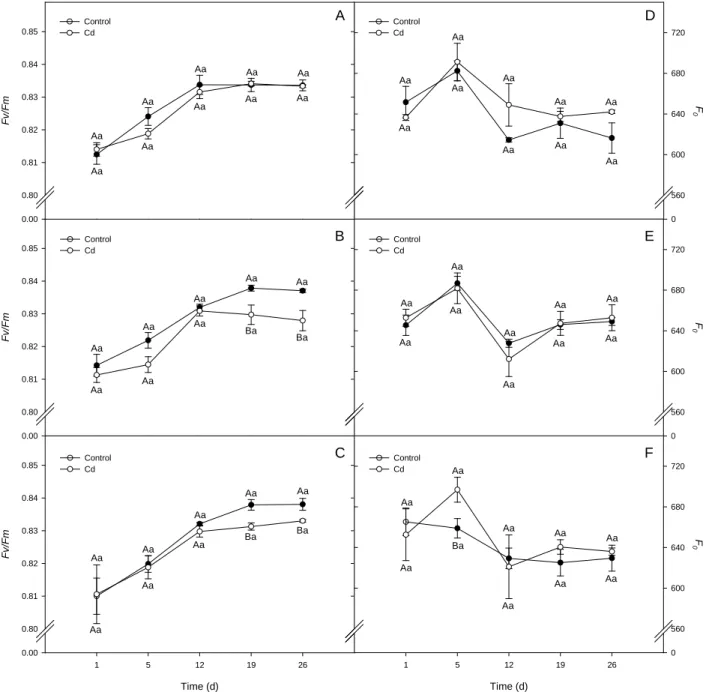 Fig. 9. Chlorophyll fluorescence parameters, potential quantum yield of photosystem II (F v /F m ), and minimal fluorescence from dark adapted 