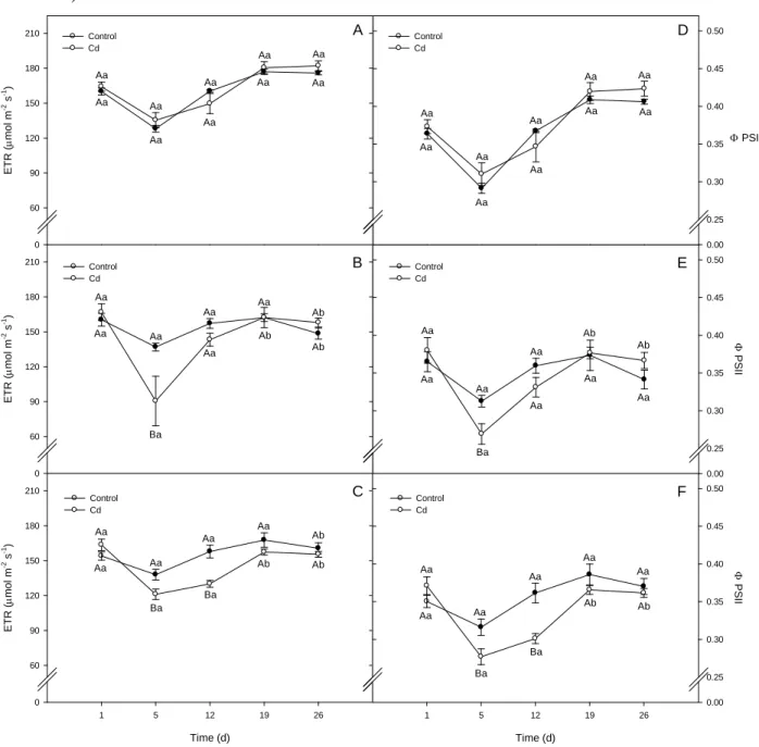 Fig. 10. Chlorophyll fluorescence parameters, electron transport rate (ETR, in µmol m -2  s -1 ), and quantum yield efficiency of photosystem II 