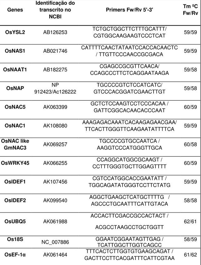 Tabela 1 – Genes analisados com os respectivos primers utilizados.