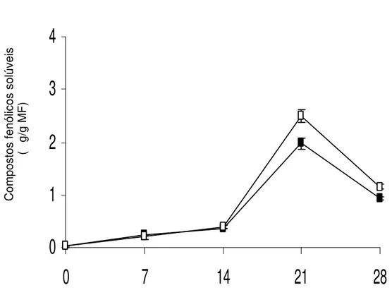 Figura 3. Concentração  de compostos fenólicos solúveis  em raízes de  batata-baroa armazenadas por 28 dias às temperaturas de 5ºC  (¾) e a 10ºC (*)