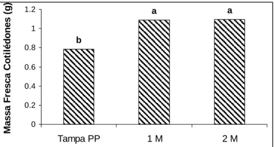 Figura 7 - Médias de massa fresca do cotilédone de tomateiro em gramas relacionadas  aos tratamentos de aeração: tampa de polipropileno (Tampa PP), tampa de PP com 1  membrana (1M) e tampa de PP com 2 membranas (2M)