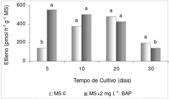 Figura 7. Produção de etileno nos frascos de cultivo com meio indutor (MS +  BAP) e não indutor (MS0) de hiperidricidade ao longo do desenvolvimento in 