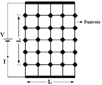 Figura 2.7: Representa¸c˜ ao esquem´atica da rede de fus´ıveis [13].