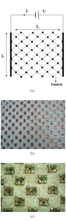 Figura 3.1: Detalhes do circuito utilizado. (a) Representa¸c˜ ao esquem´atica da rede