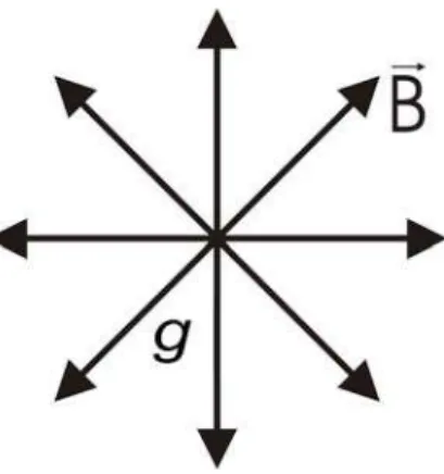 Figura 1.1: Uma carga magn´etica puntiforme e est´ atica, +gδ 3 (~x), e o campo magn´etico por ela produzido.