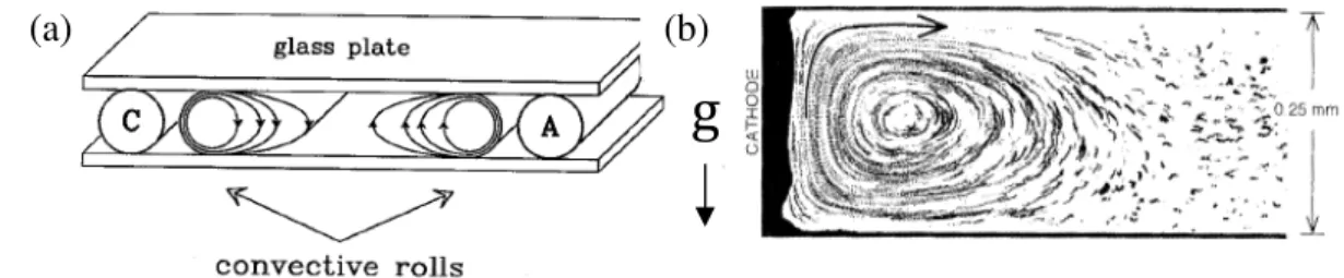 Figura  7  –  (a)  Ilustração  esquemática  da  convecção  induzida  pela  gravidade  em  células  eletrolíticas  quase-bidimensionais
