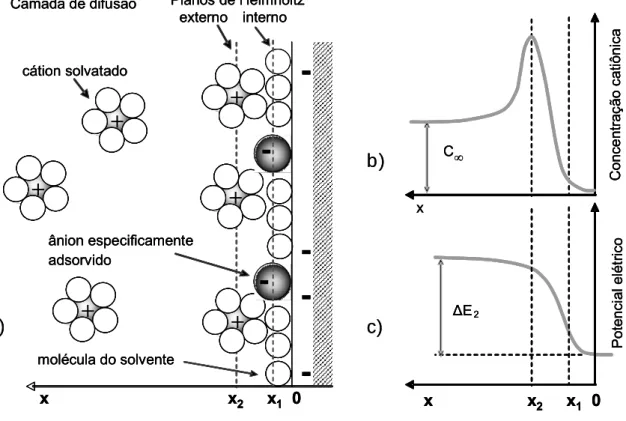 Figura 3.2.1 - (a) Representação esquemática da região de dupla camada, (b)  concentração catiônica  e (c) potencial elétrico nas proximidades da  região de dupla camada