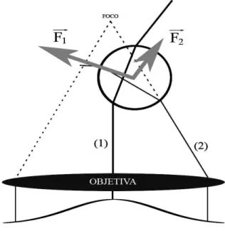 Figura 2.2: Efeito da refração. A microesfera está situada na região abaixo do foco e, nesse caso, a força resultante empurra a microesfera para o foco do feixe.