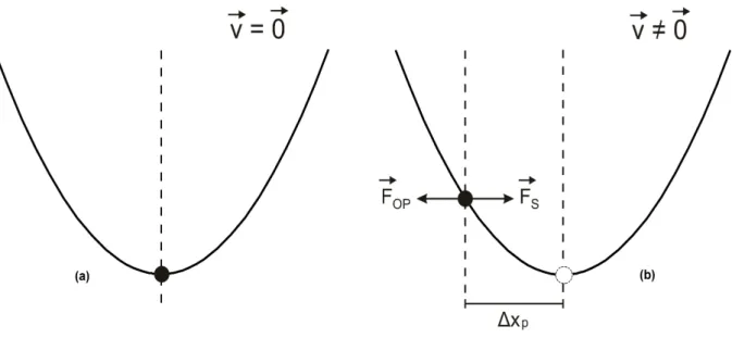Figura 2.5: (a) Microesfera presa na posição de equilíbrio no poço de potencial gerado pela pinça óptica
