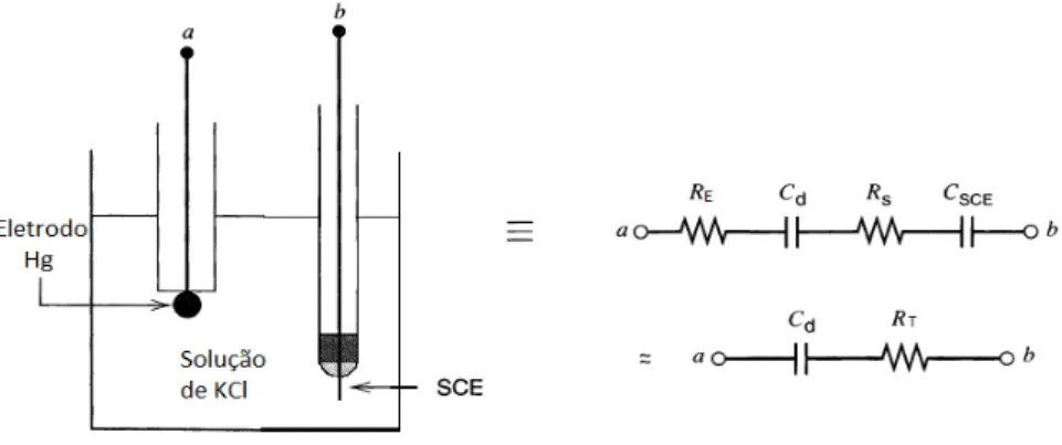 Figura  1.9.  Célula  eletroquímica  de  dois  eletrodos  composta  por  uma  eletrodo  de  mercúrio  e  um  SCE,  ambos  mergulhados  em  solução  de  KCl
