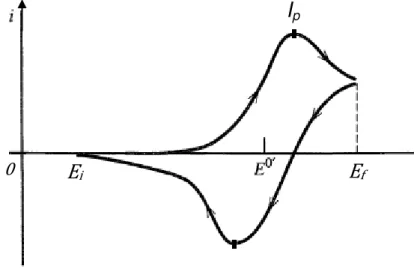 Figura 1.11. Voltamograma para um sistema faradaico. 