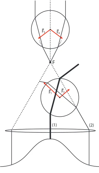 Figura 2.1: Esquema de forças na microesfera devido aos raios refratados.