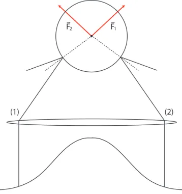Figura 2.2: Esquema de forças na microesfera devido aos raios refletidos.