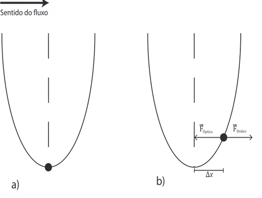 Figura 4.2: (a) Microesfera presa a pinça óptica antes de ser estabelecido o fluxo. (b) Microesfera presa a pinça depois do fluxo ser estabelecido.