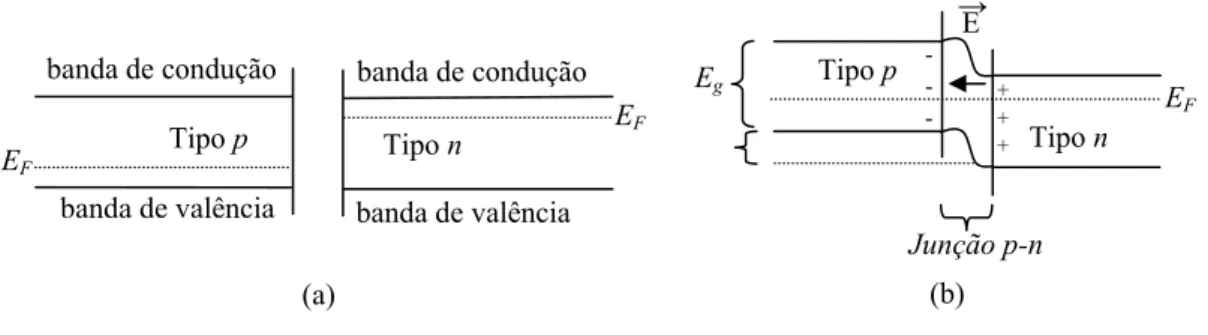 Figura 5 –  ( a) semicondutores tipo p e n com o nível de Fermi correspondente; (b) estrutura de bandas  da junção p-n no equilíbrio termodinâmico.