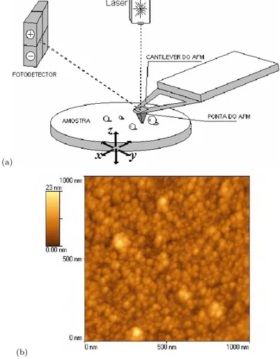 Figura 3.4: (a) Esquema ilustrativo de um AFM e (b) uma micrografia AFM. dessas t´ecnicas ´e semelhante: inicialmente, a amostra ´e colocada sobre um scanner