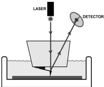 Fig. 14: Esquema ilustrativo do sistema de microscopia de força atômica in-situ vii . 