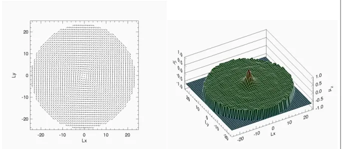 Figura 1.4: Representação de um vórtice com carga topológica Q = 1 numa superfície plana: A figura a esquerda representa uma visão bidimensional do vórtice