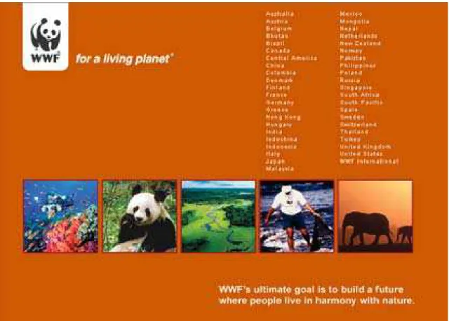 Figura 2 – Página inicial da rede transnacional do WWF. 