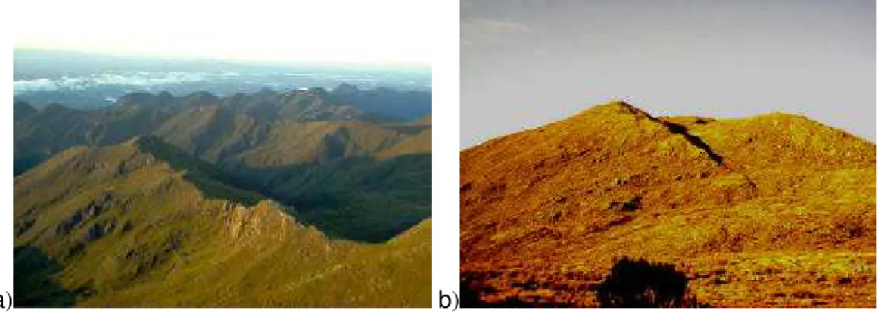 Figura 4-  a)Feição do relevo encontrado no entorno do Pico da Bandeira; b)Pico  da Bandeira