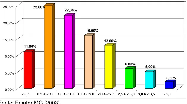 Figura 7 – Perfil de renda entre os irrigantes do Projeto Jaíba Etapa I, 2003 (sa- (sa-lários mínimos)