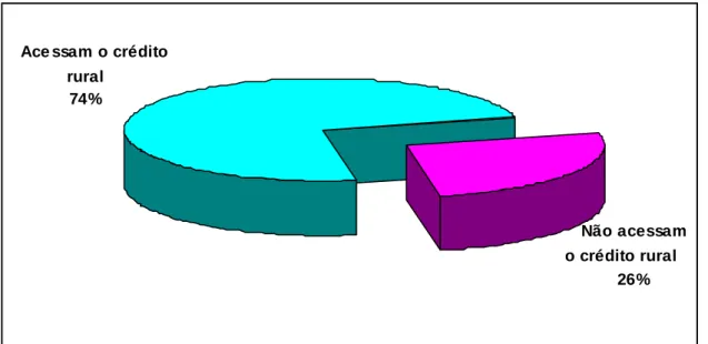 Figura 11 – Situação dos irrigantes no Projeto Jaíba Etapa I, em relação ao  acesso ao crédito rural, 2005