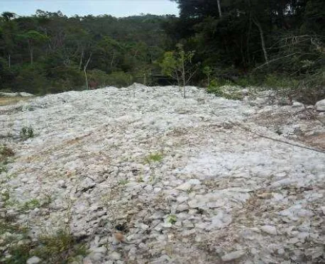 Foto  3  Cristais  que  ainda  podem  ser  encontrados  na  entrada  da  Lavra  São  Roque,  Caiana  -  MG