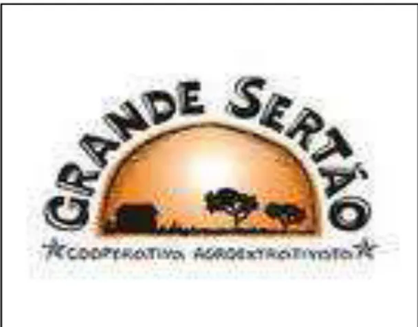 Figura 12 - Marca da Cooperativa Grande Sertão, Norte de Minas Gerais, 2012  Fonte: Cooperativa Grande Sertão (s/d)