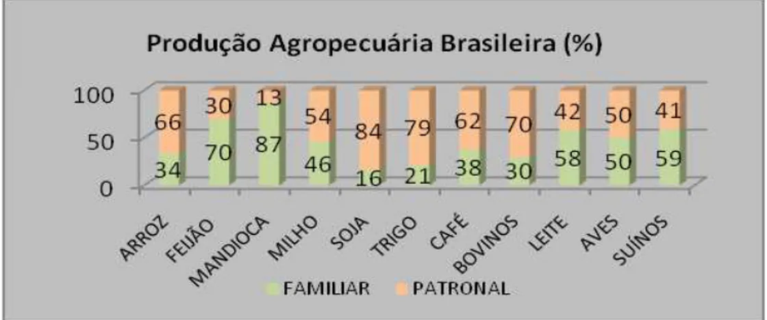 Figura 1 - Produção Agropecuária Brasileira (%) 