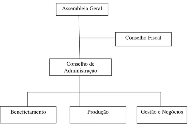 Figura 6 - Organograma da Cooperativa Grande Sertão, Montes Claros/MG, 2012  Fonte: Elaboração própria