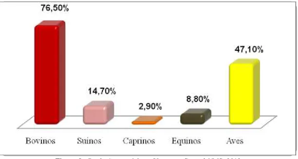 Figura 9 - Produção pecuária no Urucum - Corumbá/MS, 2012  Fonte: Dados da pesquisa, 2012