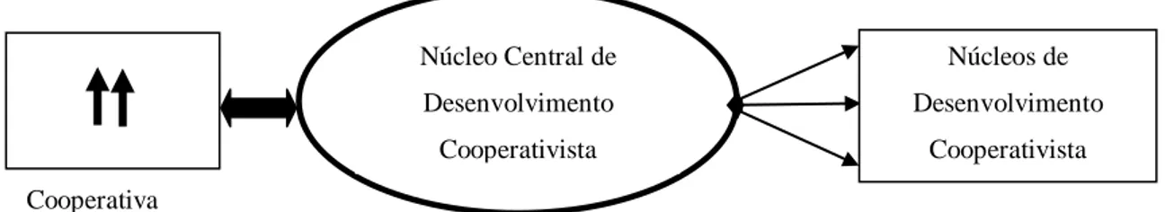 Figura 2 - Fluxograma sobre a relação entre cooperativa e associados por meio dos Núcleos  Fonte: Santos (s/d)