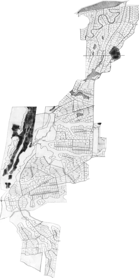 Figura 5 - Mapa do Assentamento Zumbi dos Palmares e seu parcelamento em lotes.