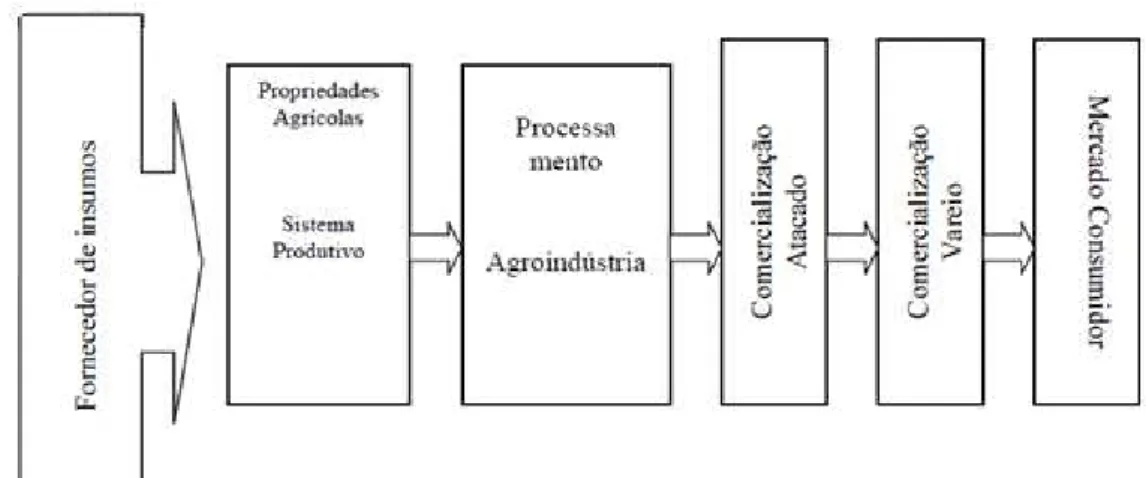 Figura 8 – Complexo agroindustrial  Fonte: CASTRO et al, 1997, p.3. 