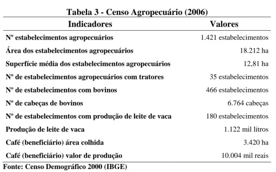 Tabela 3 - Censo Agropecuário (2006) 
