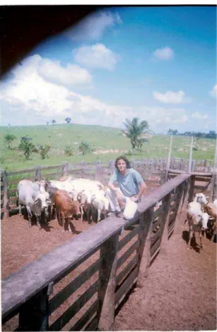 Figura 5: Autor da pesquisa, na época como técnico de ATES acompanhando agricultores na compra de  gado para o Pronaf A, em 2004
