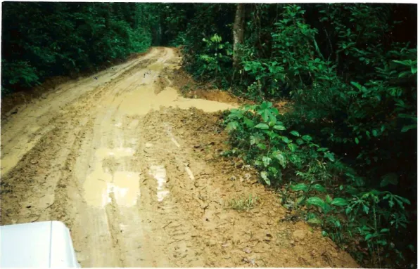Figura 12: Trecho de estrada em projeto de assentamento de Marabá, no ano de 2004. 