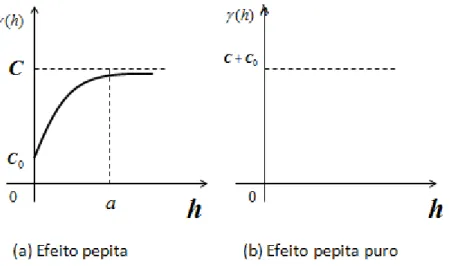 Figura 5 - Efeito Pepita e Pepita Puro. 