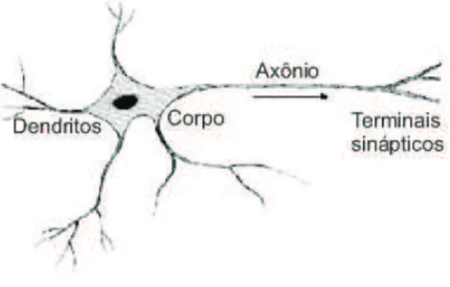 Figura 2.2: Representação simplificada de um neurônio (Adaptado de Ferneda, 2006)