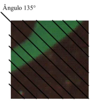 Figura 7 - Recorte de  bloco 68x68 pixels da planta milho. 