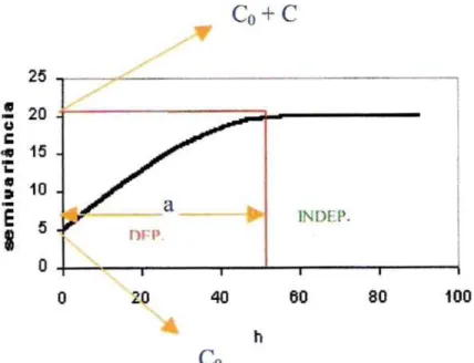 Figura 2 - Semivariograma experimental com efeito pepita: C 0  = efeito 