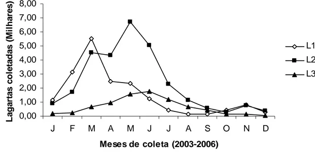 Figura 4. Número de lagartas  L1, L2 e L3 de Eupalamides cyparissias (Lepidoptera:  Castniidae) coletadas de janeiro de 2003 a janeiro de 2006 nas unidades produtivas do  Grupo Agropalma no município de Tailândia - Pará