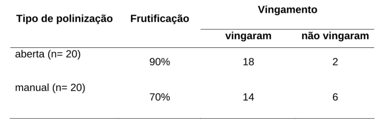 Tabela 1. Frutificação obtida após polinizações aberta e manual em flores de  Cucurbita moschata Poir var