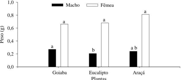 Figura 6. Peso de pupas de machos e fêmeas de Thyrinteina arnobia (Lepidoptera:  Geometridae) de indivíduos da criação em Psidium catteleianum sabine e transferidos para 